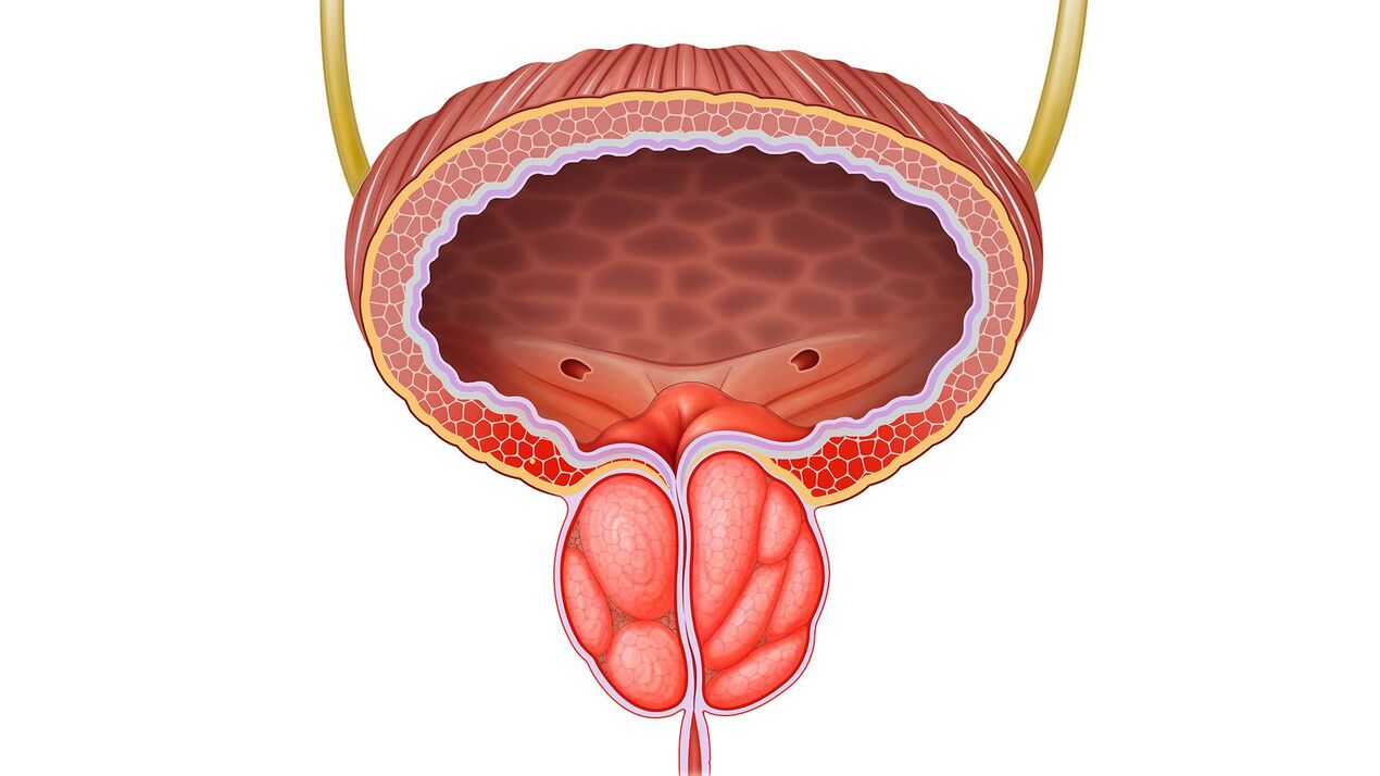 naghubag nga glandula sa prostate